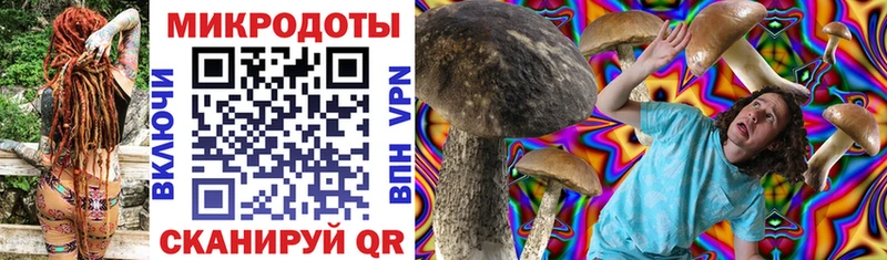 Галлюциногенные грибы MAGIC MUSHROOMS Жуков